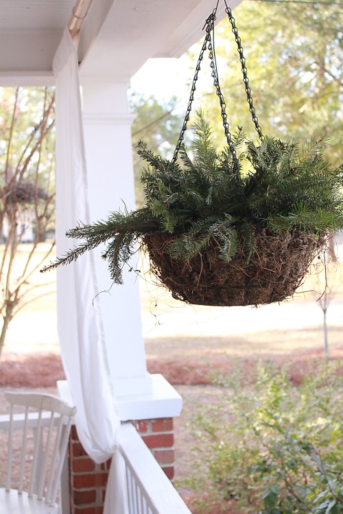 hanging baskets with fresh pine