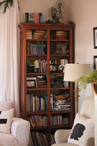 living room bookshelf