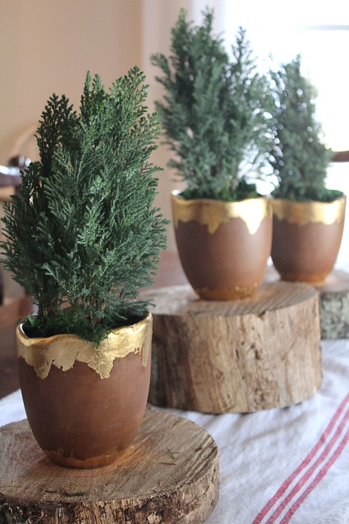 tiny trees for a centerpiece