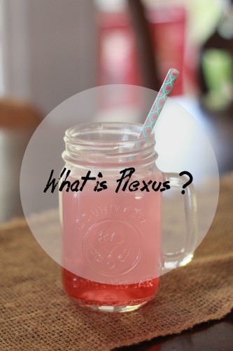 what is plexus