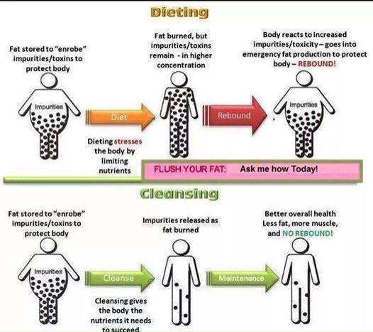 why diets dont work, but cleansing does