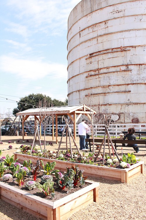 Magnolia Market garden